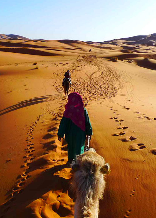 camel trek 6 days camel rides at the bottom of the desert