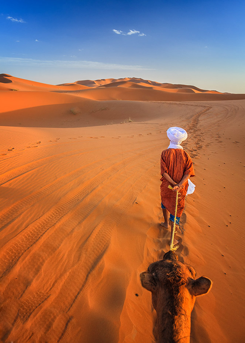 camel trek 6 days marrakech & m'hamid desert