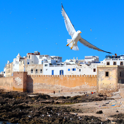 Marrakech 1 day trip to essaouira