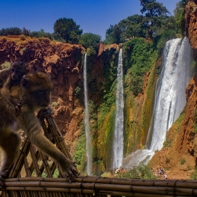 Marrakech 1 day trip to ouzoud waterfalls